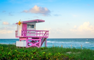 4 Miami Tourist Attractions You Need to Experience This Year 4 Miami Tourist Attractions You Need to Experience This Year